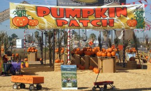 Pumpkin Patch in Higley