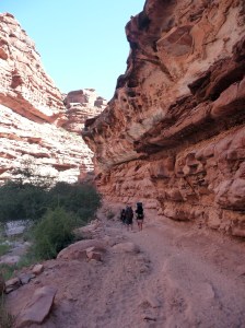 Walking through The Grand Canyon