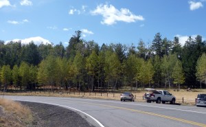 my_car_at_the_curve As close as my car has ever come to "off road."