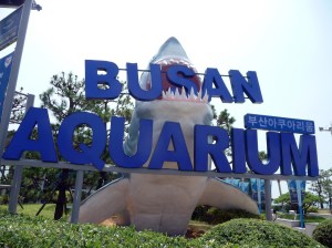 busan_aquarium_sign