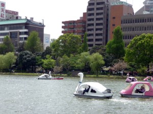 japan_uneo_park_swan_boats