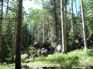 family_the_spot_view