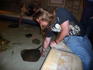 vegas_carl_pets_a_stingray
