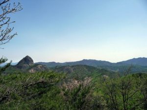 392430_10150830706430979_1238646357_n