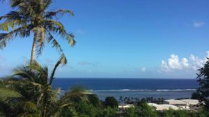 coconut trees with the ocean in the background in asan