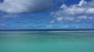 every day outside my window