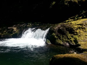 hotsprings 031