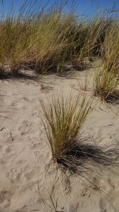 IMG_20130901_135828_560