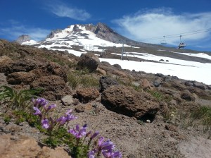 mt.hood 035