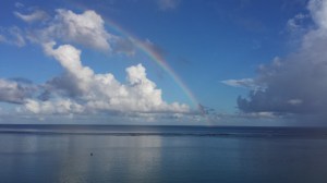 ocean duing the day five