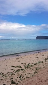 ocean during the day eighty eight