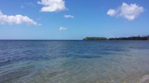 ocean during the day eighty one