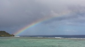 ocean during the day fifty (2)