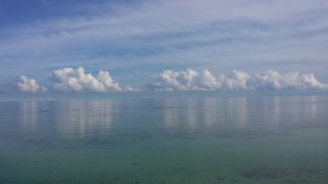 ocean during the day fifty seven