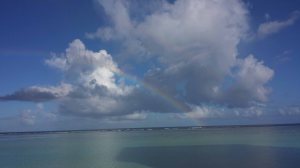 ocean during the day fifty