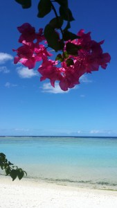 ocean during the day thirty six