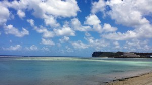 ocean during the day two oh nine