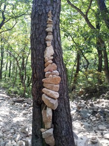 rocks_on_the_tree