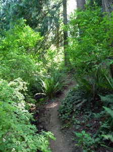 the_path_less_traveled