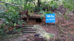 talefofo park forty two