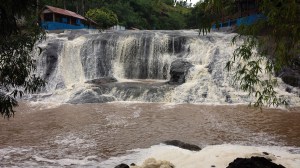 talefofo park thirty