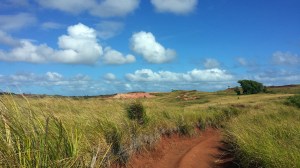 on the trail