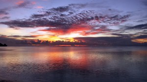 sunset one hundred one