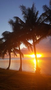 sunset two twenty four