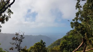 ocean view.jpg