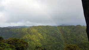 rainbow in valley.jpg