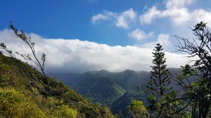 view from aiea trail.jpg