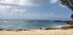 20190413_141256