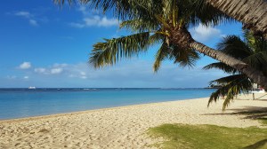 ala moana with cruise ship