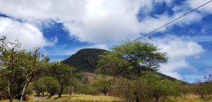kokohead from parking
