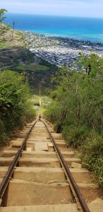 the long view