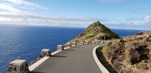 the trail looks like