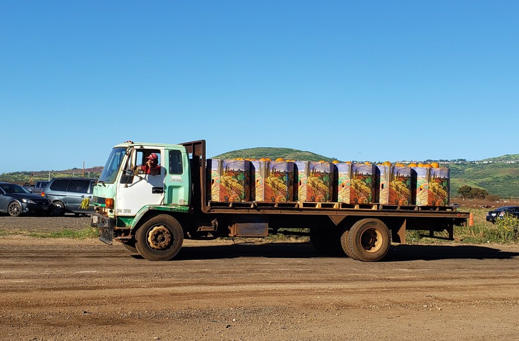 pumpkins on truck